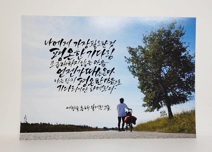 선지그리다 이미지