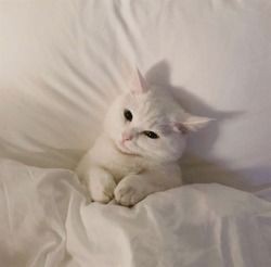 예쁜EYE 이미지
