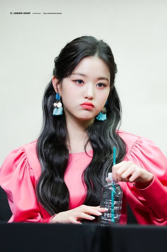 가드니아 이미지