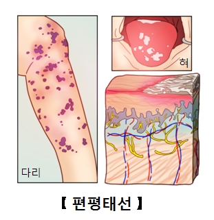 박앤박 이미지