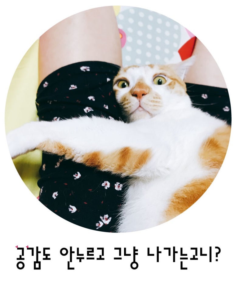 반고집 숯불갈비 이미지