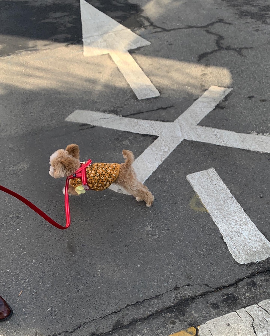 아로담 이미지