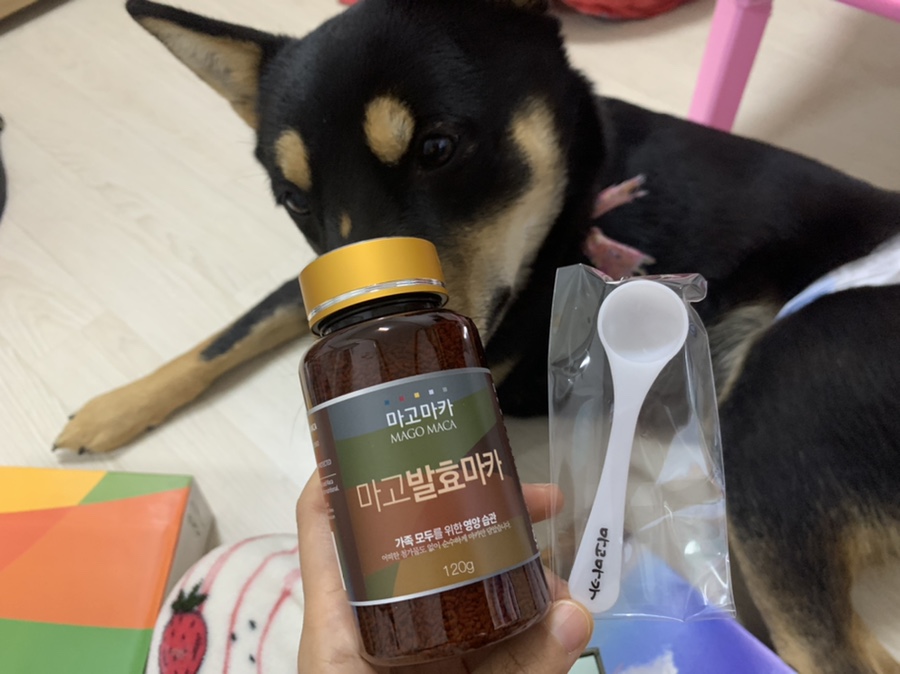 마고유통 이미지