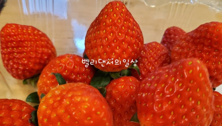 정미니하우스 이미지