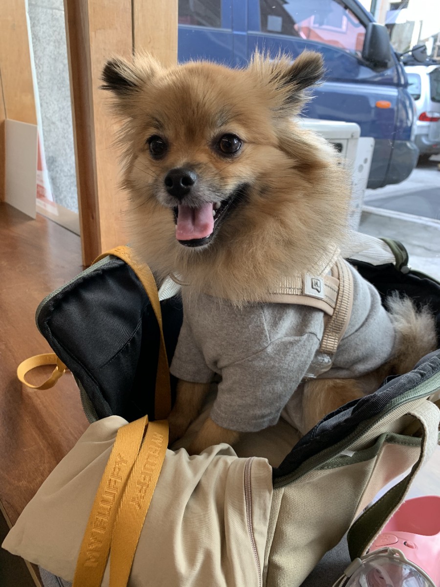 카페단 이미지