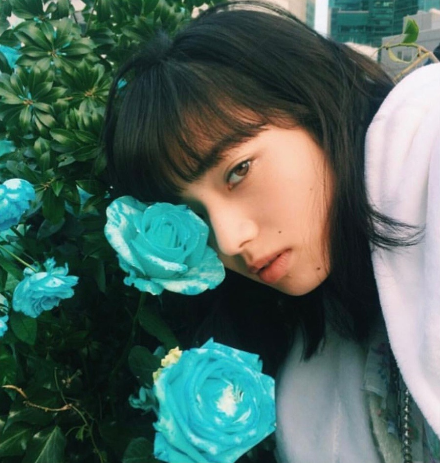 오렌지나무 이미지