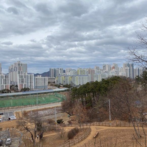 등촌샤브칼국수세종대평점 이미지