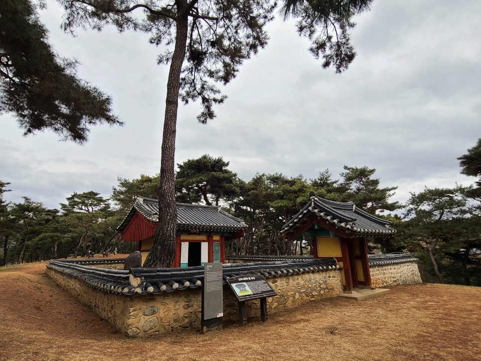 나루행정사사무소 이미지