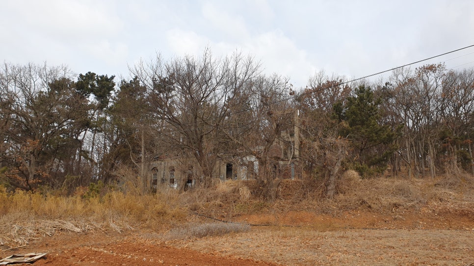 교동숲 이미지
