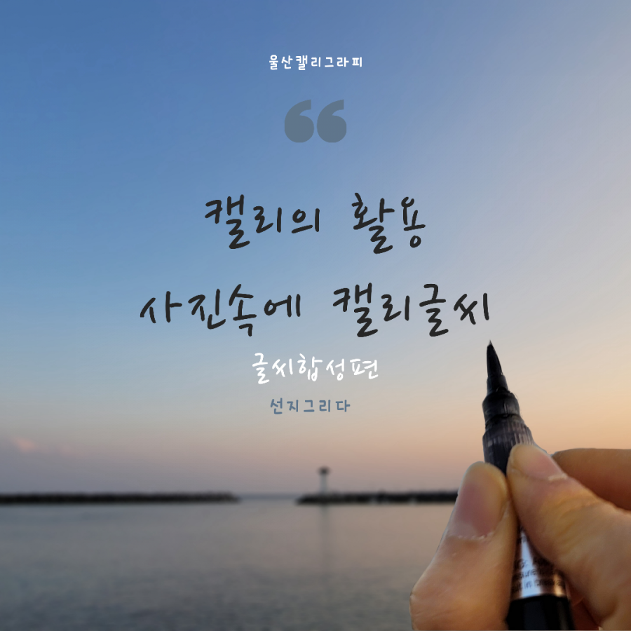 선지그리다 이미지