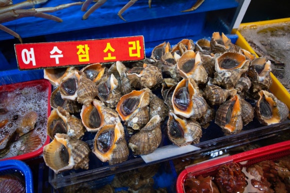 물결수산 이미지