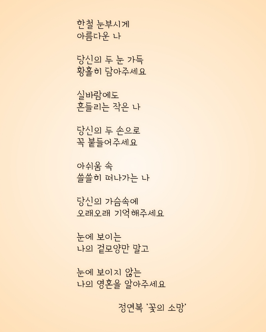 꽃소망 이미지