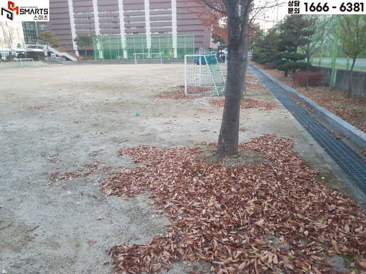 대전도안고등학교 이미지