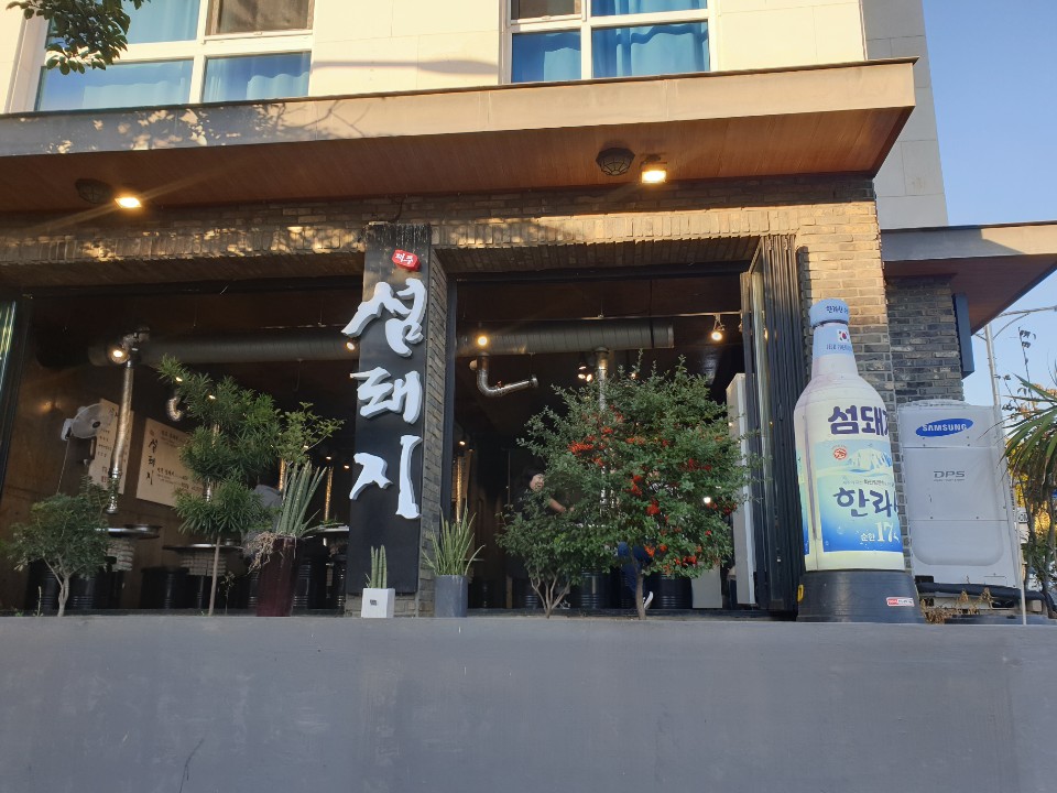 섬돼지 이미지