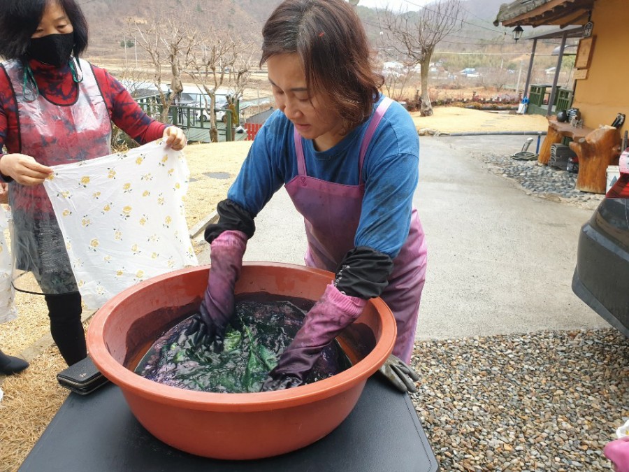 담녹 이미지