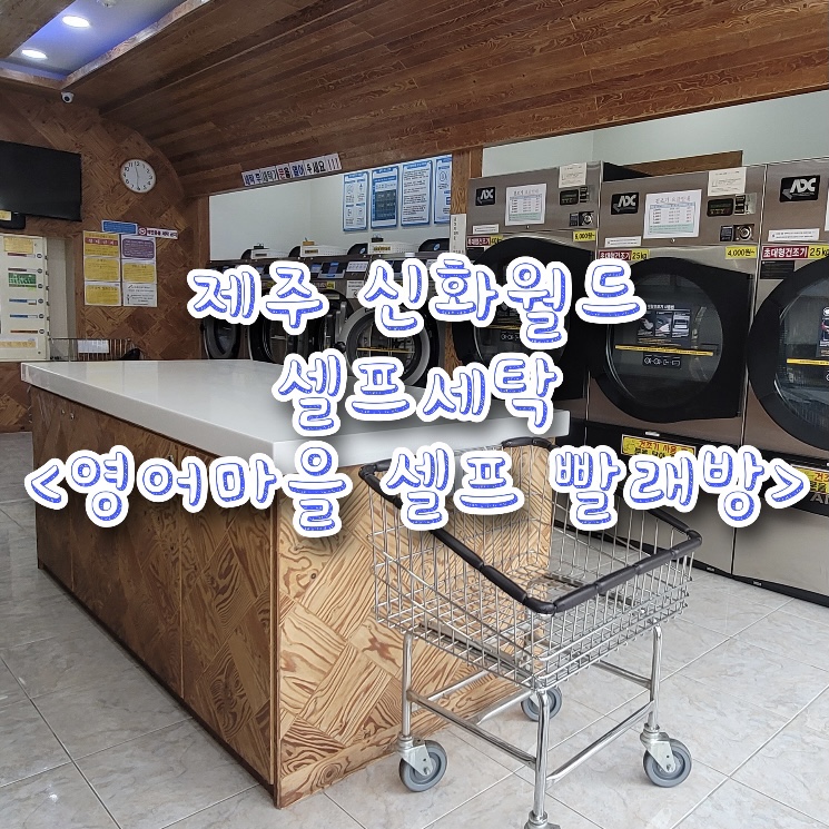 신화세탁 이미지