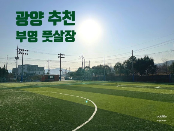 부영풋살장 이미지