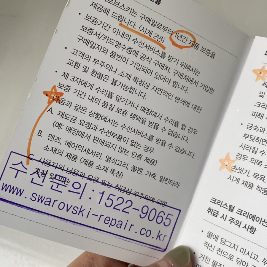 백조수선 이미지