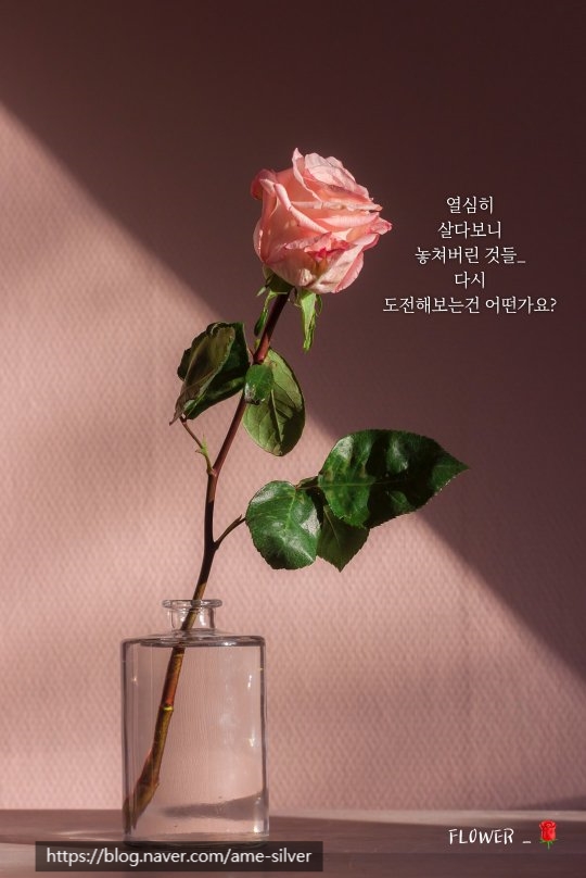 실버폰나라 이미지