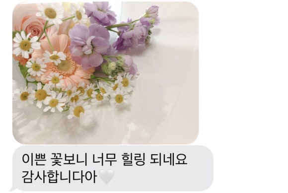모이스블룸 이미지