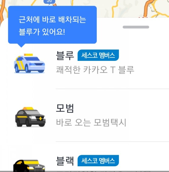 카카오블루 이미지