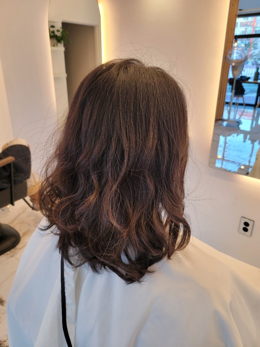bd Hair 이미지