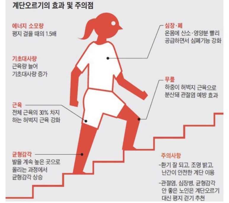 천계단 이미지