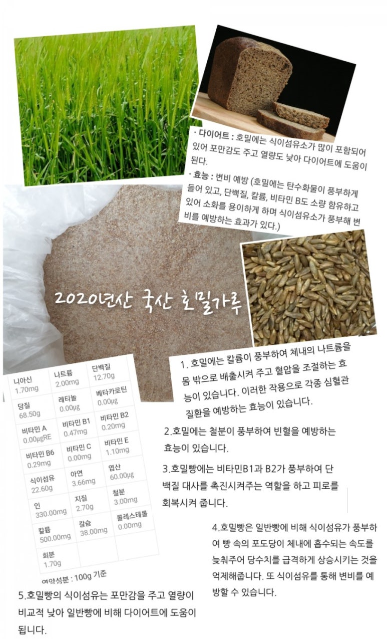 호밀씨 이미지