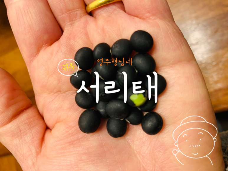 영주농부들 이미지