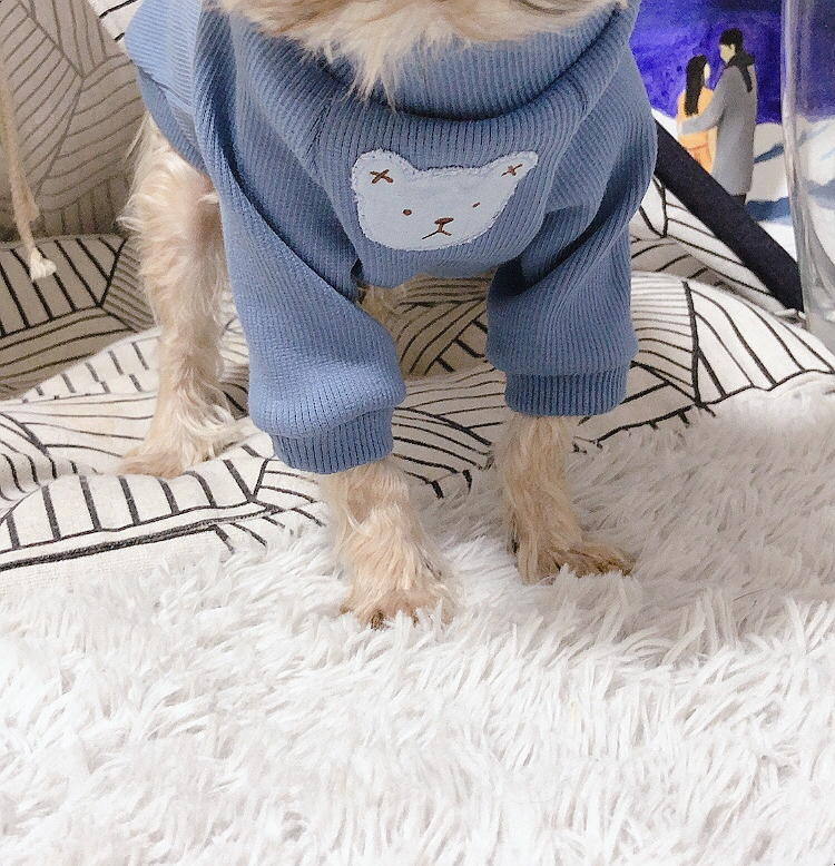 리윗독 이미지