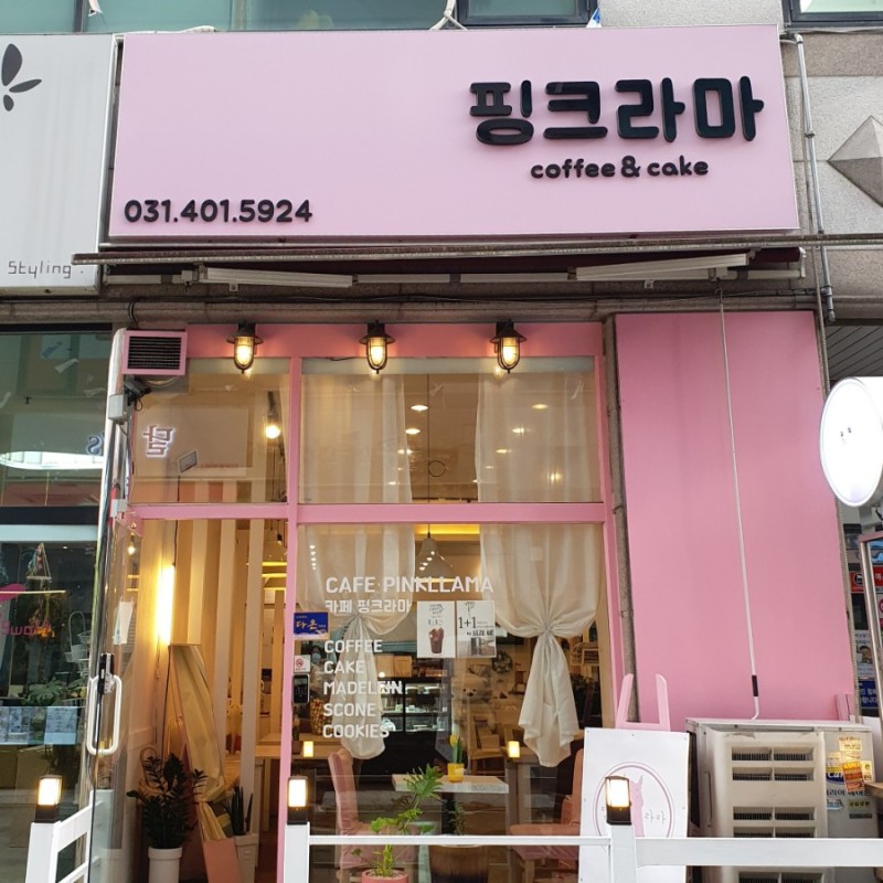 핑크라마 이미지