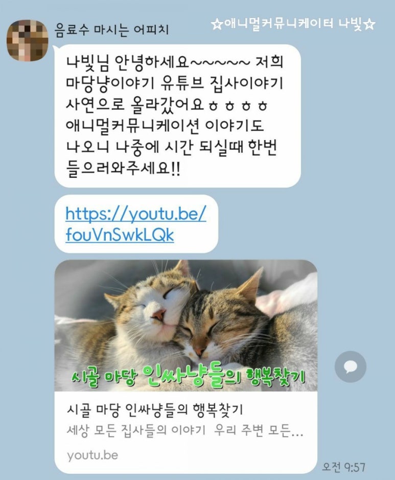 냥이커뮤니케이션 이미지