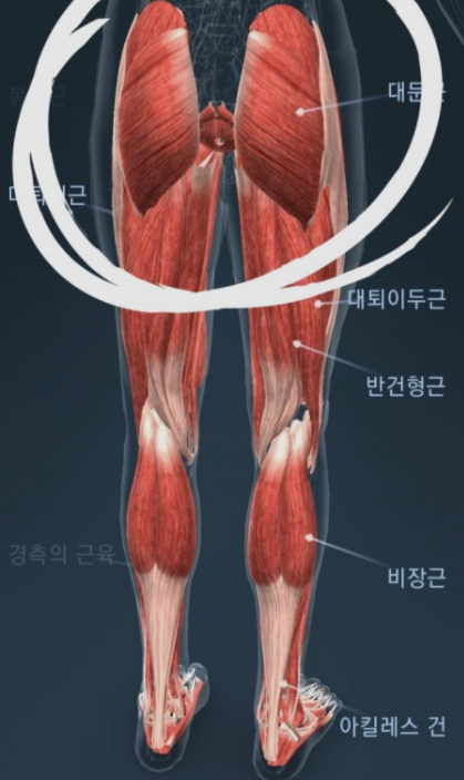 브이피트니스 이미지