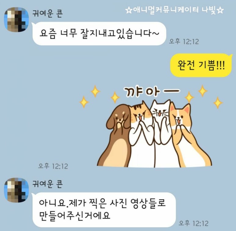 냥이커뮤니케이션 이미지