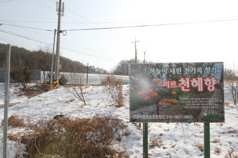 미르영농조합법인 이미지
