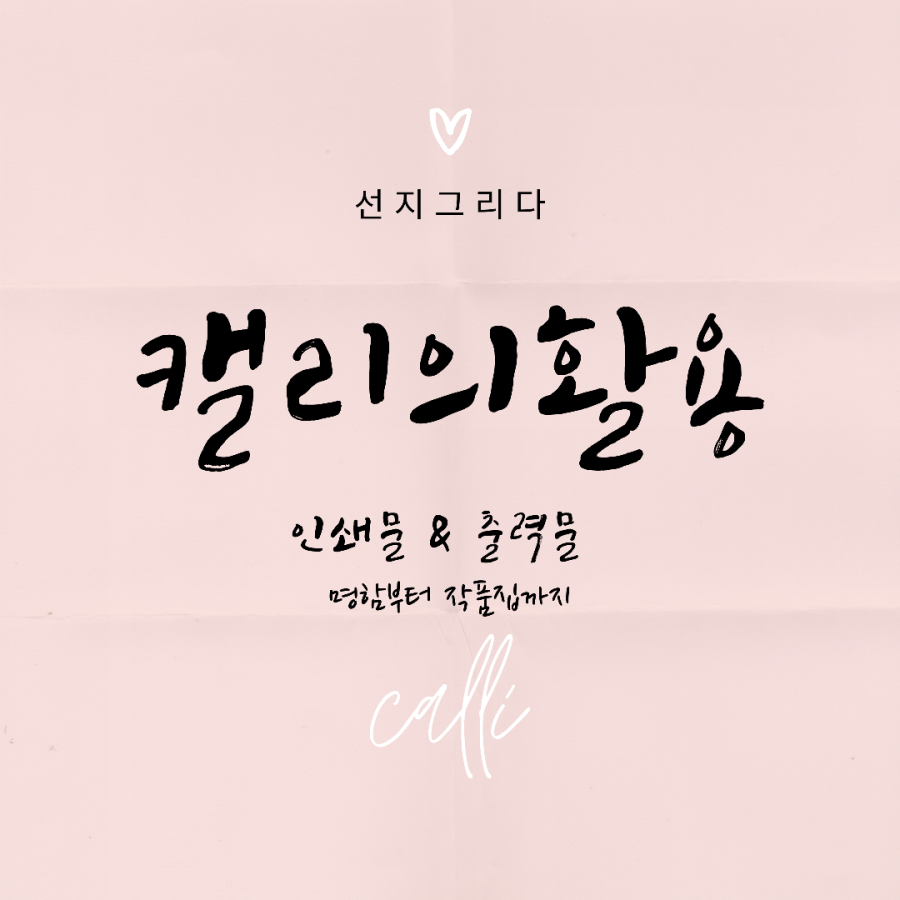 선지그리다 이미지