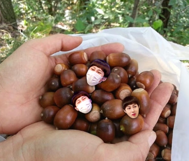 바가지머리 이미지