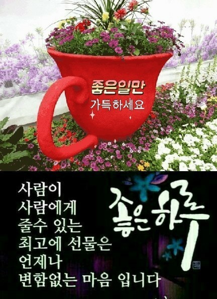 삼성덴트공업사 이미지
