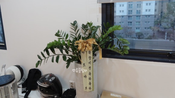 미스고헤어 이미지