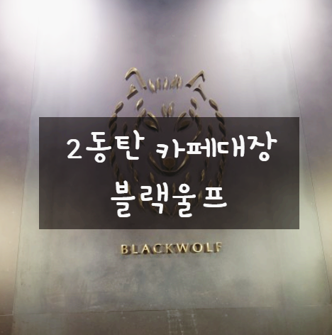 블랙울프 이미지