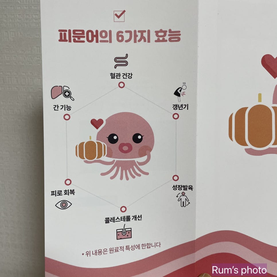 어니스트허브 이미지