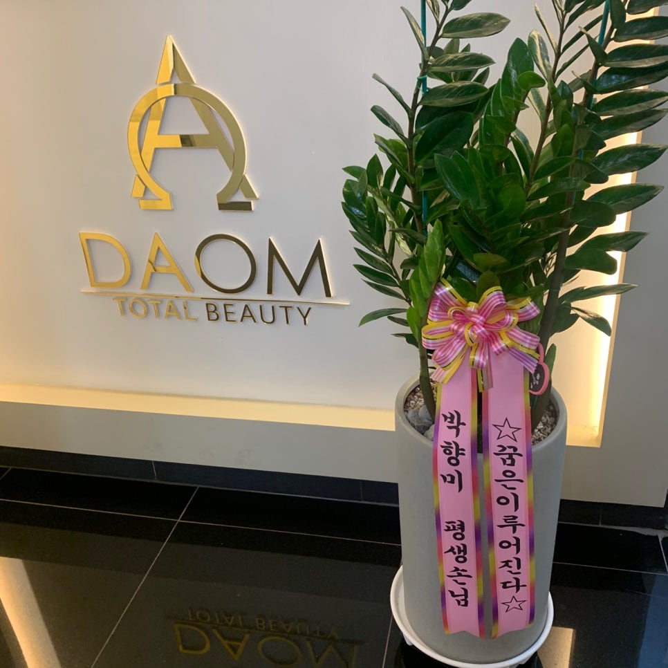 네일다옴 이미지
