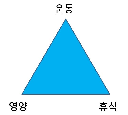 나우휘트니스 이미지