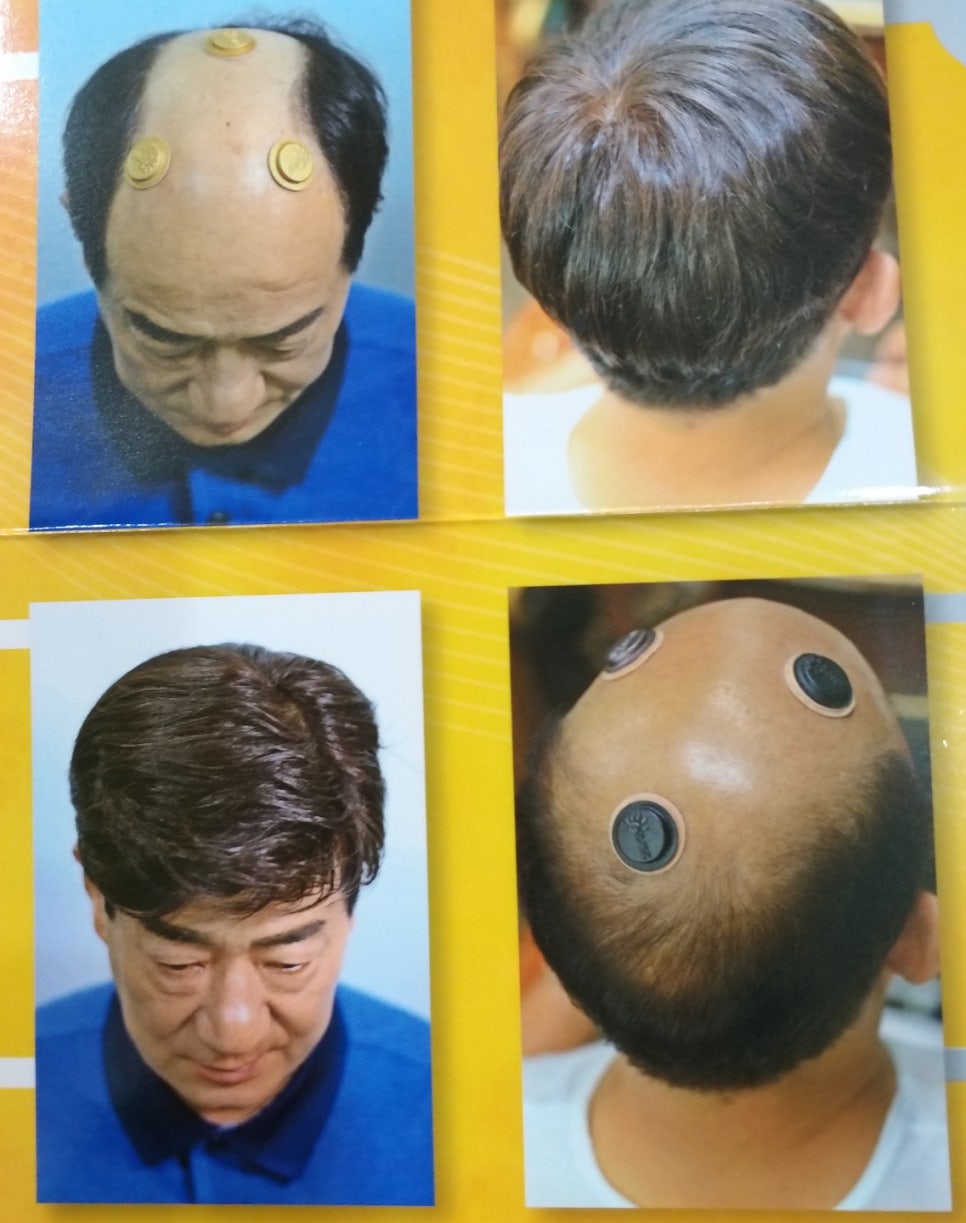 제천가발 이미지