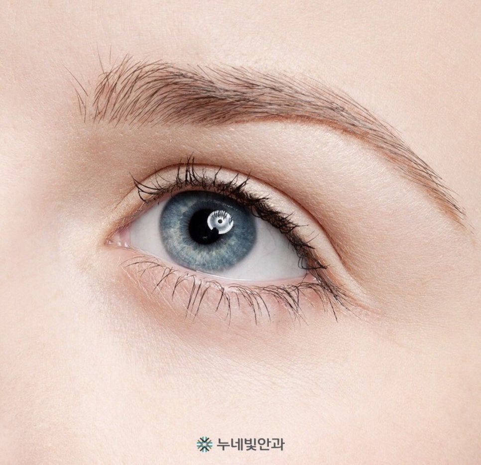 다누네일 이미지