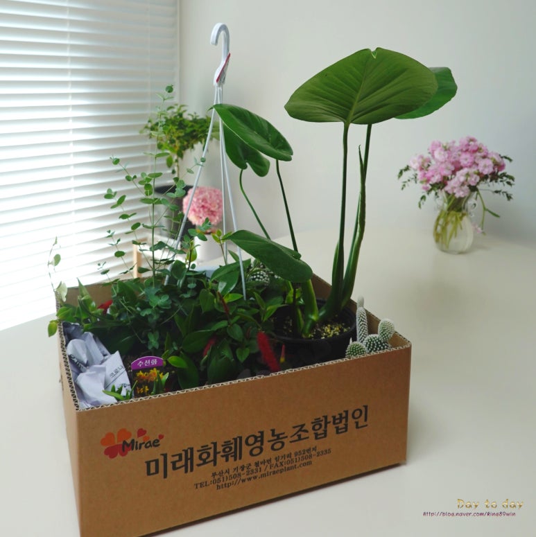 영농조합법인 더초록 이미지