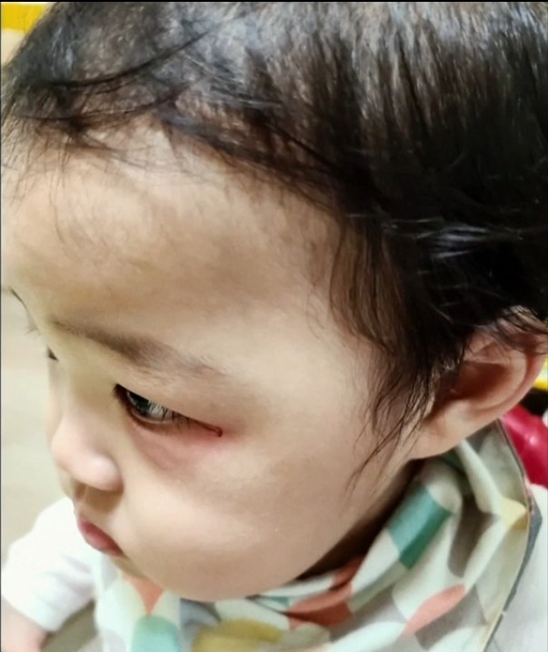 서울남부지방검찰청 이미지