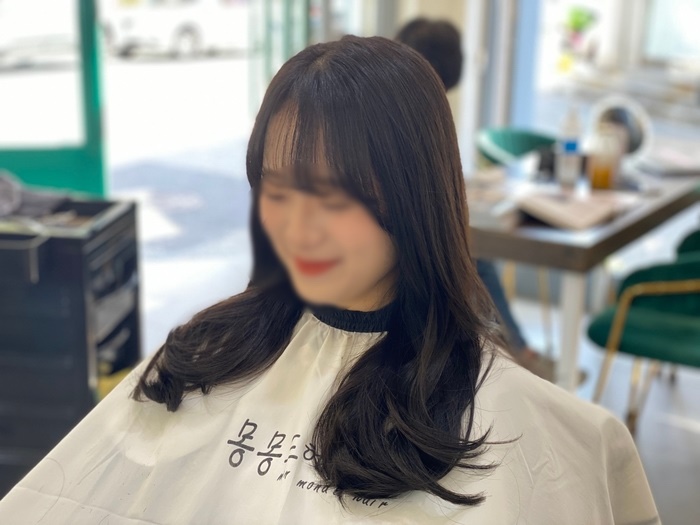몽몽드 이미지