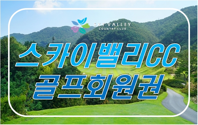 스카이엔지니어링주 이미지