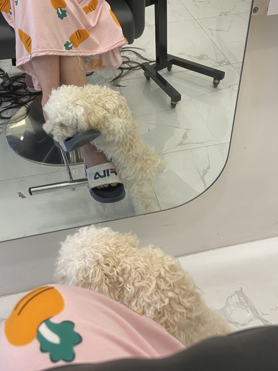 비커밍헤어 이미지
